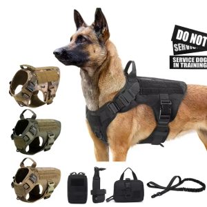 PlushPup Adventure Harness & Leash Set